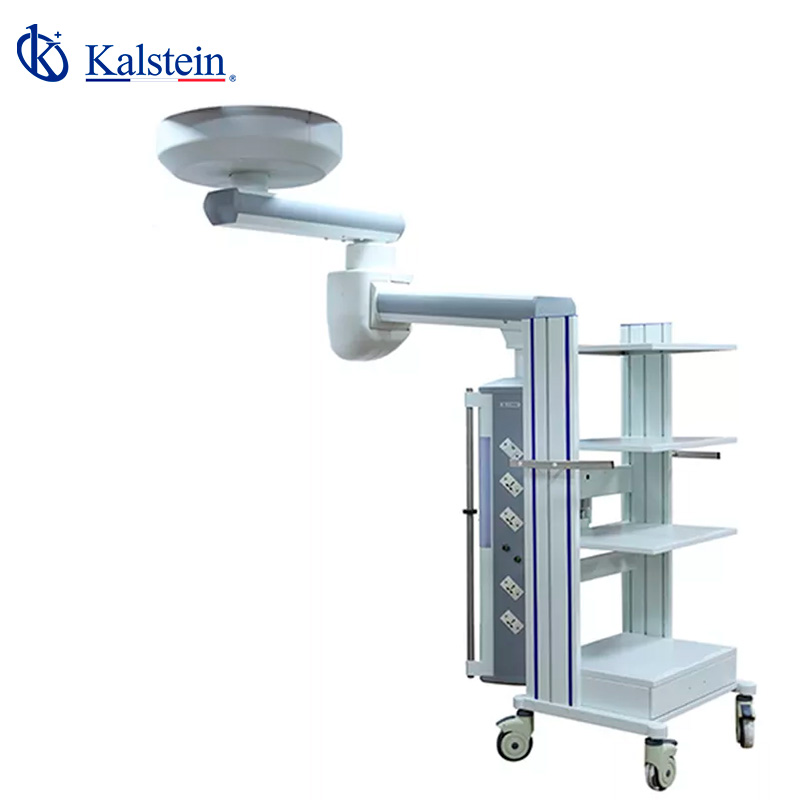 Sector Adaptations of the YR02082 Surgical Pendant: Clinical, Industrial, Food, Veterinary, and Educational Applications