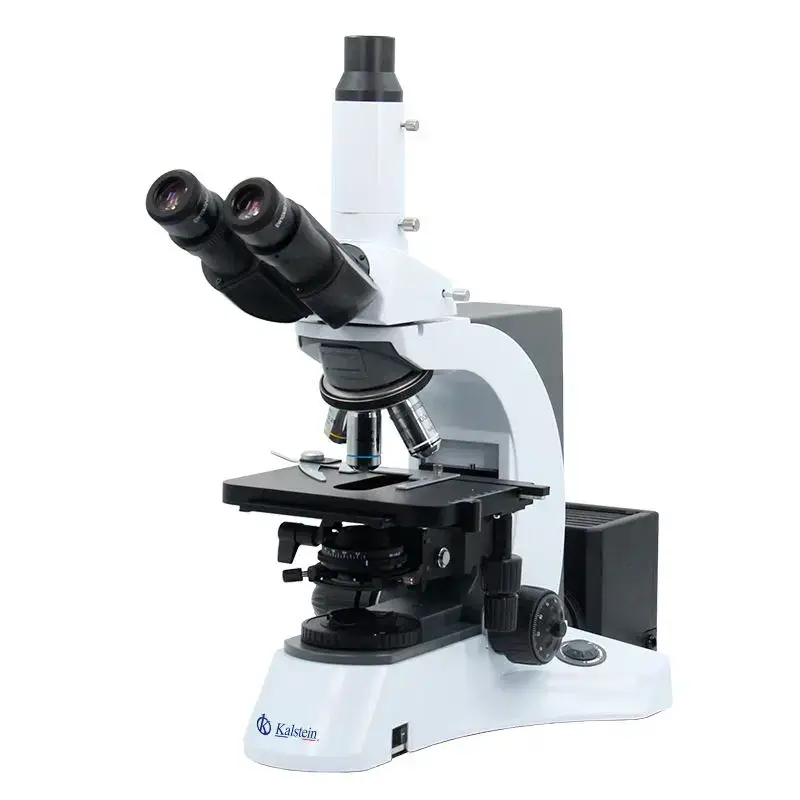 Microscope Trinocular YR0231