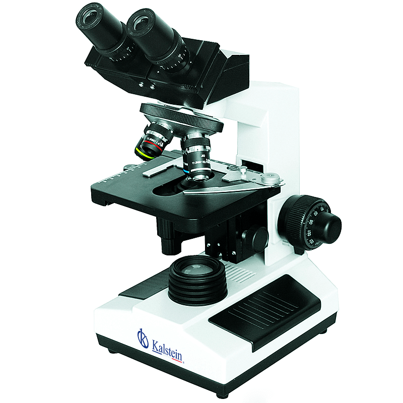 Interpreting Results and Reading Measurements with the YR0242-1 Biological Microscope