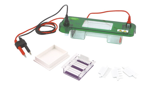 Horizontal Electrophoresis: Practical Step-by-Step Guide in 2026