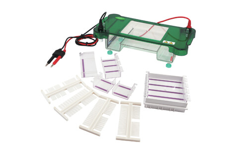 Practical Use of Horizontal Electrophoresis YR03417 in Laboratories