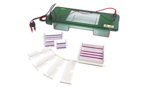 Horizontal Gel Electrophoresis YR03418: Precision and Traceability