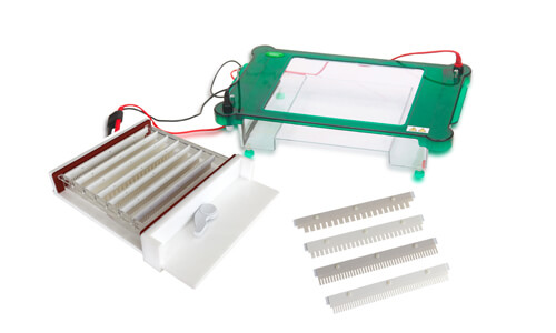 How to Adapt the YR03421 Horizontal Electrophoresis for Different Clinical and Industrial Sectors