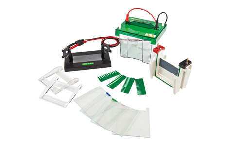 Vertical Electrophoresis: ROI and Cost-Benefit Analysis for the Lab 2026