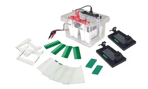Installation and Startup Guide for the YR03426 Mini-Protean Vertical Electrophoresis Cell
