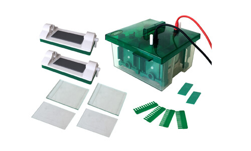 Exploring Sector Adaptations for the YR03427 Vertical Electrophoresis Cell