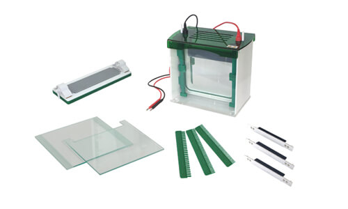 Sector Adaptations for the YR03431 Rapid Vertical Electrophoresis Tank