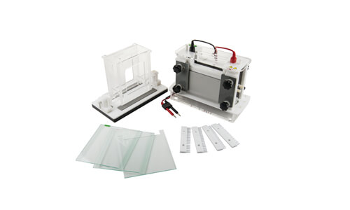 Understanding the Principle of Operation of the YR402 Mini Electrophoresis
