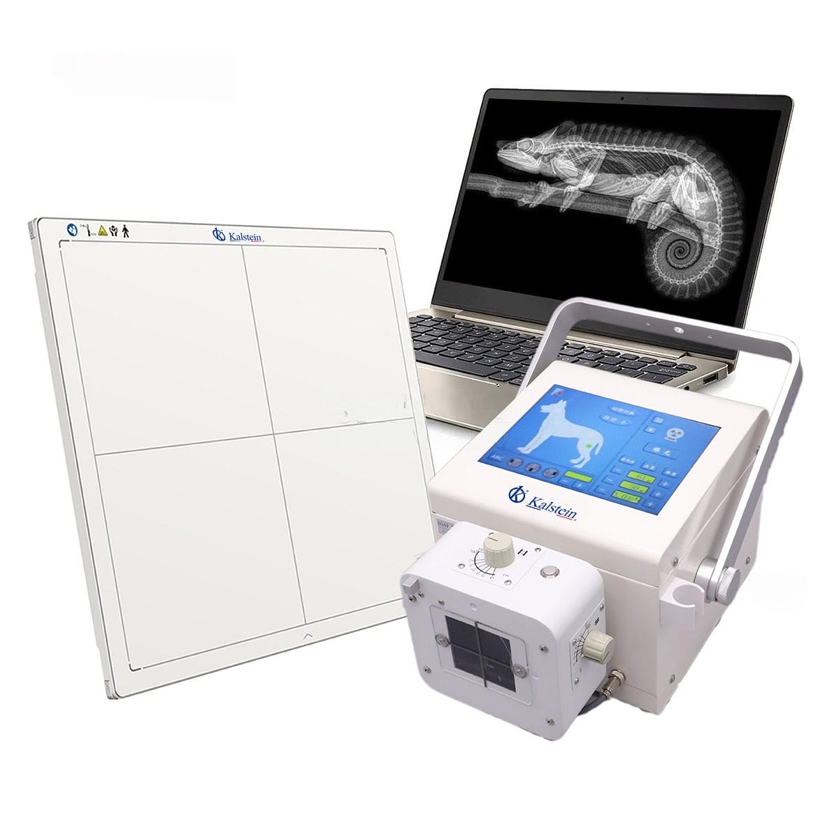 Portable Digital Veterinary X-Ray (DR) YR06160