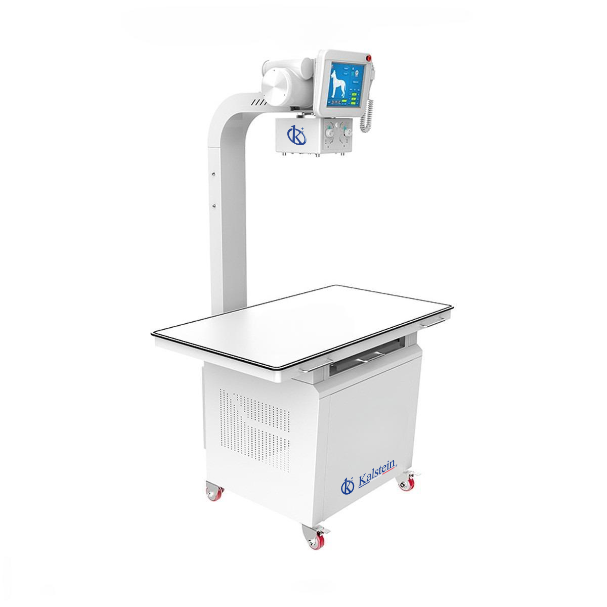 Digital Veterinary X-rays (DR) YR06162: A Comprehensive Guide