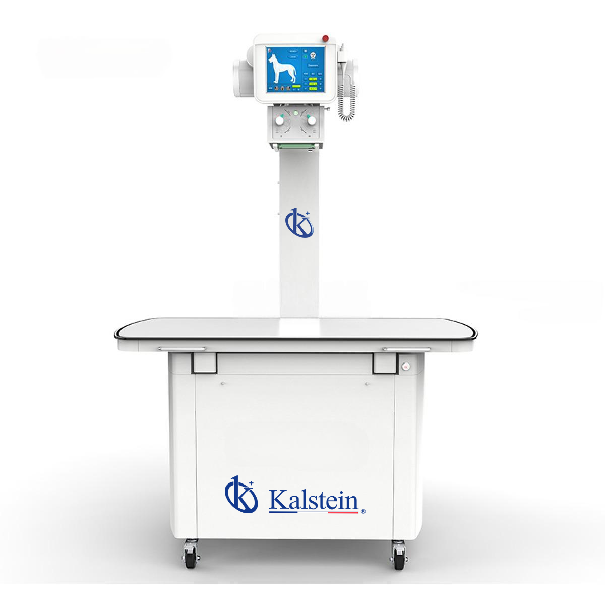 Digital Stationary Veterinary X-rays YR06163