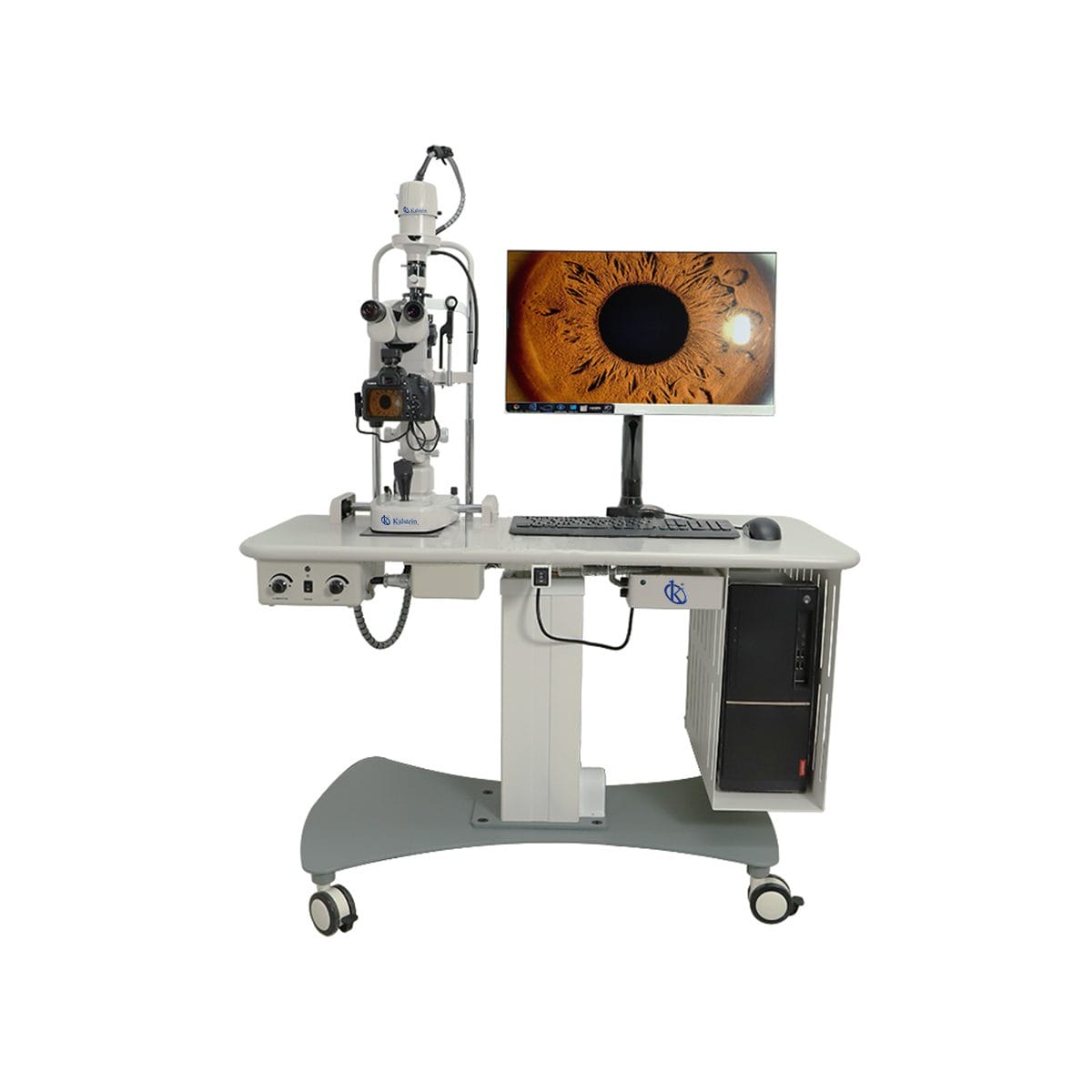 Digital Veterinary Slit Lamp YR06200: A Comprehensive Guide