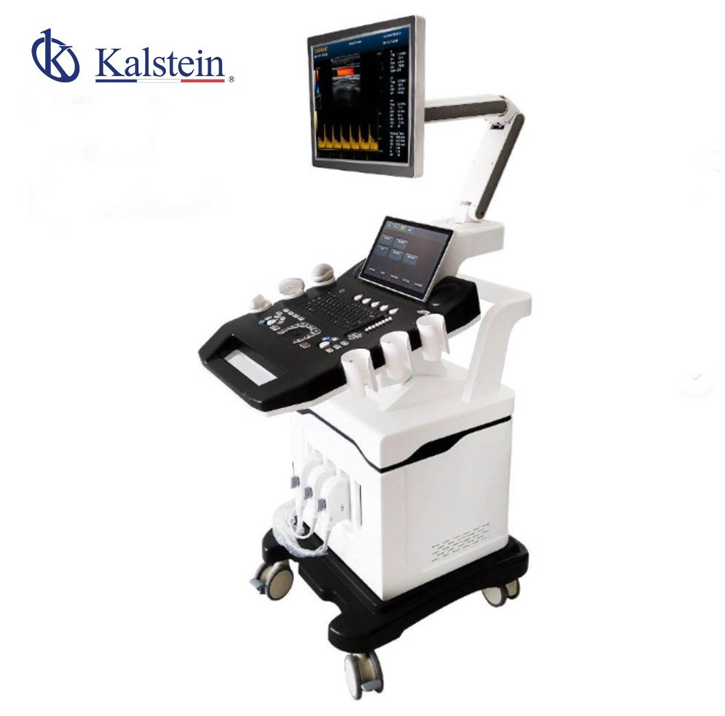 High-End 3D/4D Color Doppler Ultrasound Scanner YR06635: Customization, Optional Accessories, and Advanced Configurations (Variant 2026-06-02)
