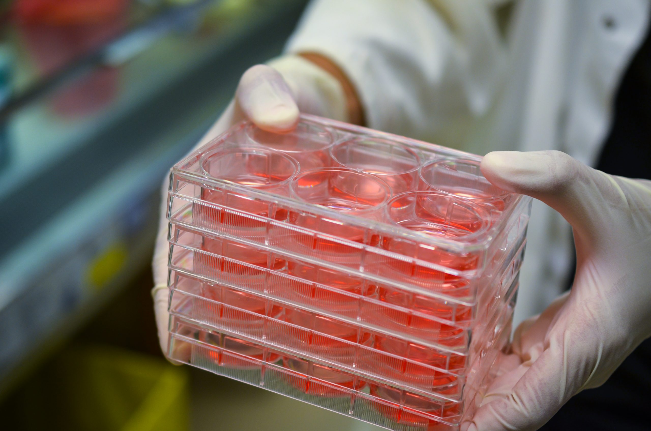 Incubators, their application in cell and microbiological cultures