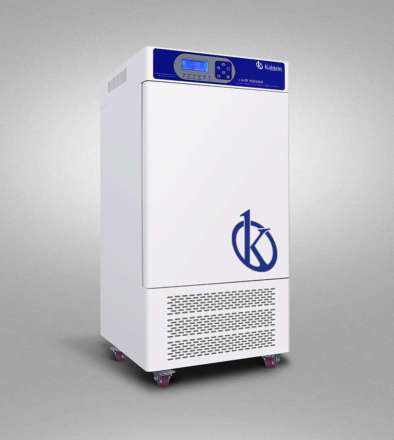 What types of experiments can be performed in a laboratory incubator?