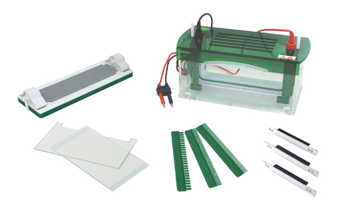 Advancing in Your Sample Analysis with Innovative Gel Electrophoresis Instruments