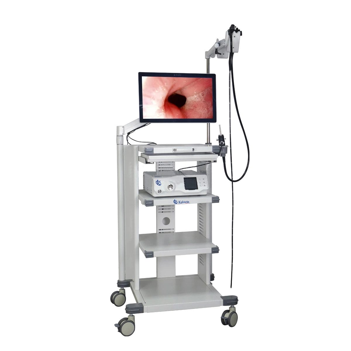 An Imperative Tool in Modern Veterinary Medicine: Kalstein's Veterinary Video Endoscope