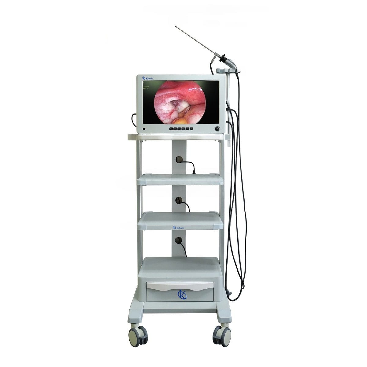 Delving into Veterinary Surgical Equipment: A World of Precision and Care