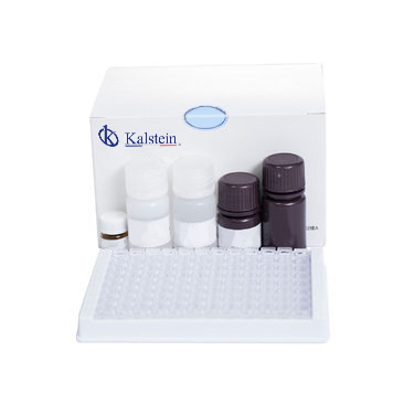 Clinical Chemistry Reagents: Common Mistakes and How to Avoid Them in Daily Operations 2026