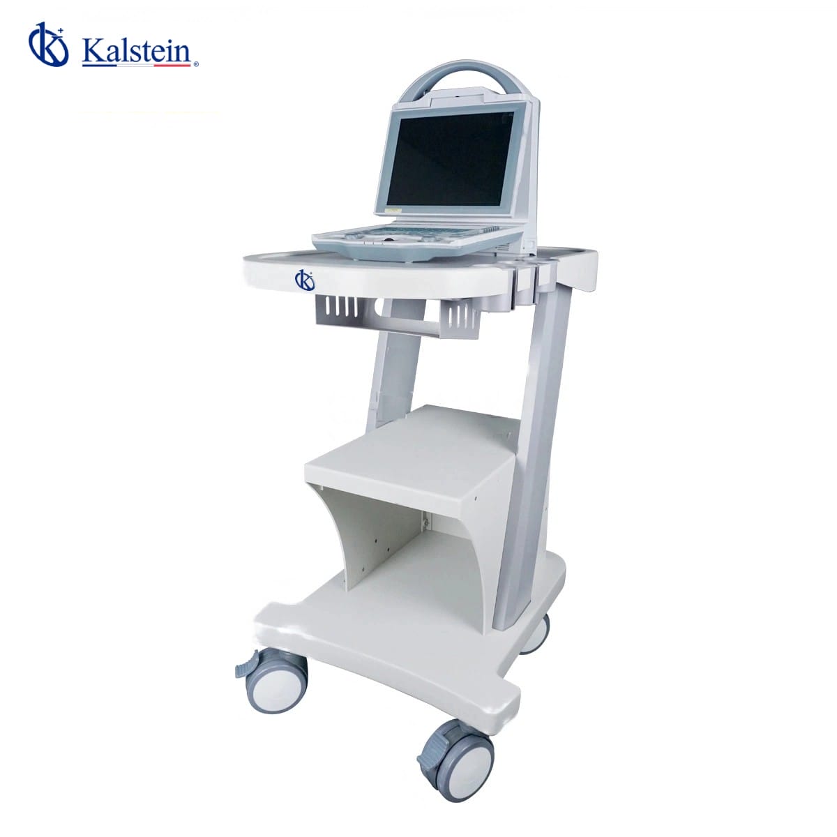 Revolutionizing Veterinary Care: The Impact of Kalstein's Veterinary Ultrasound