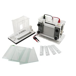 Boost Your Scientific Experiments with Electrophoresis Equipment Technology