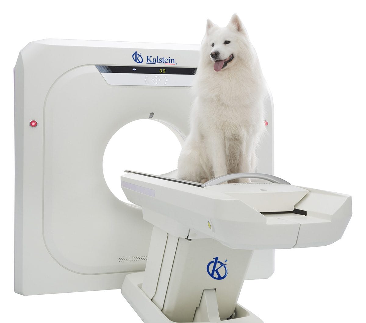 Revolutionizing Veterinary Diagnostics: Delving into Veterinary CT Scanners