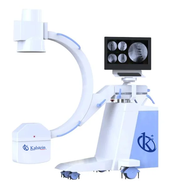 Discovering the World of Veterinary X Ray: Premium Solutions for Animal Healthcare