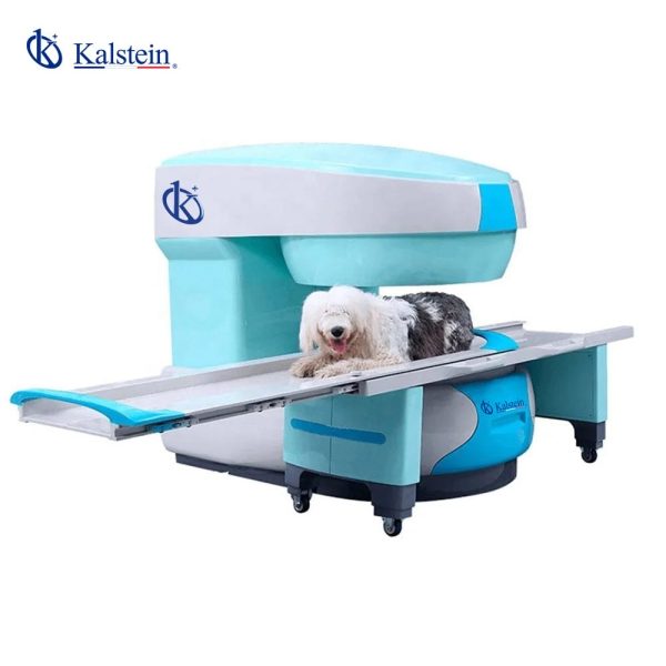 Revolutionizing Veterinary Diagnosis: The Advanced Veterinary MRI Solutions