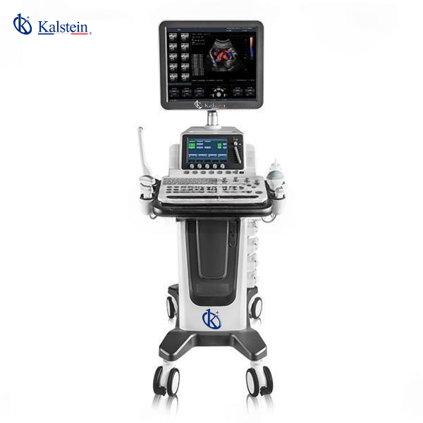 The Ultimate Guide to Veterinary Ultrasound: Kalstein Edition