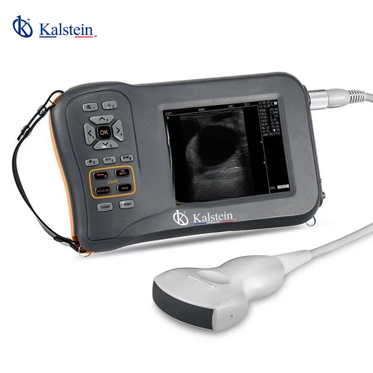 Veterinary Ultrasound with Color Doppler: Enhancing Cardiovascular Diagnostics