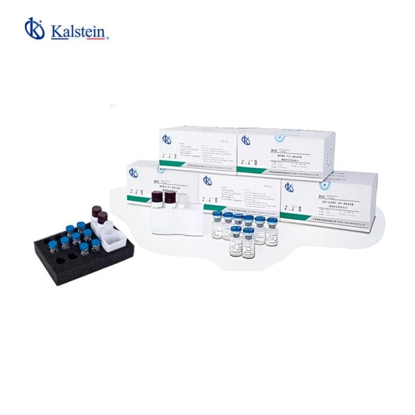 Discover the Essential Reagent Consumables Line: Enhance Your Laboratory Efficiency
