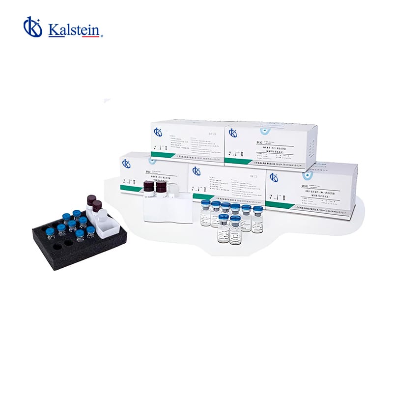 Reliable Results in Every Test: Precision Reagents for Chemiluminescence