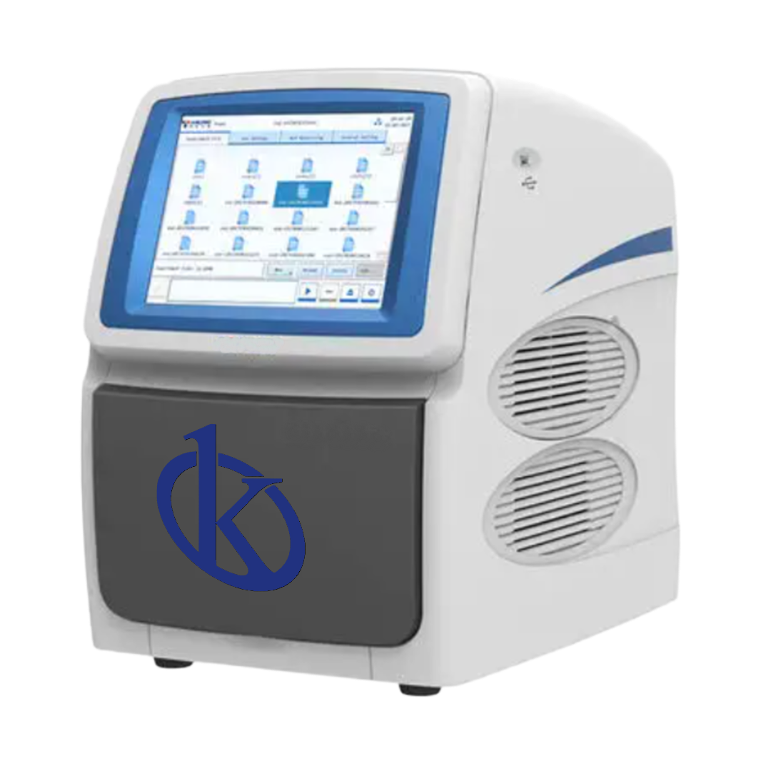 Real-Time PCR YR06689