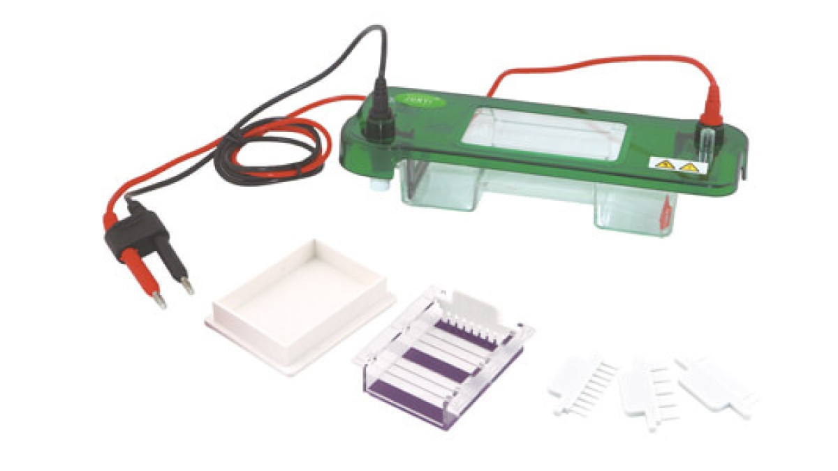 Horizontal Electrophoresis: Practical Step-by-Step Guide in 2026