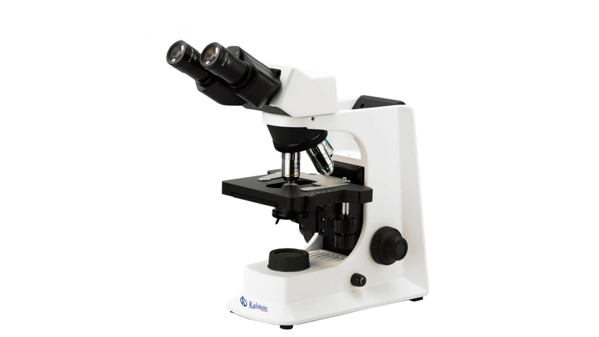 Technical Performance and Safety of the Laboratory Biological Microscope Binocular Infinity Plan YR05788