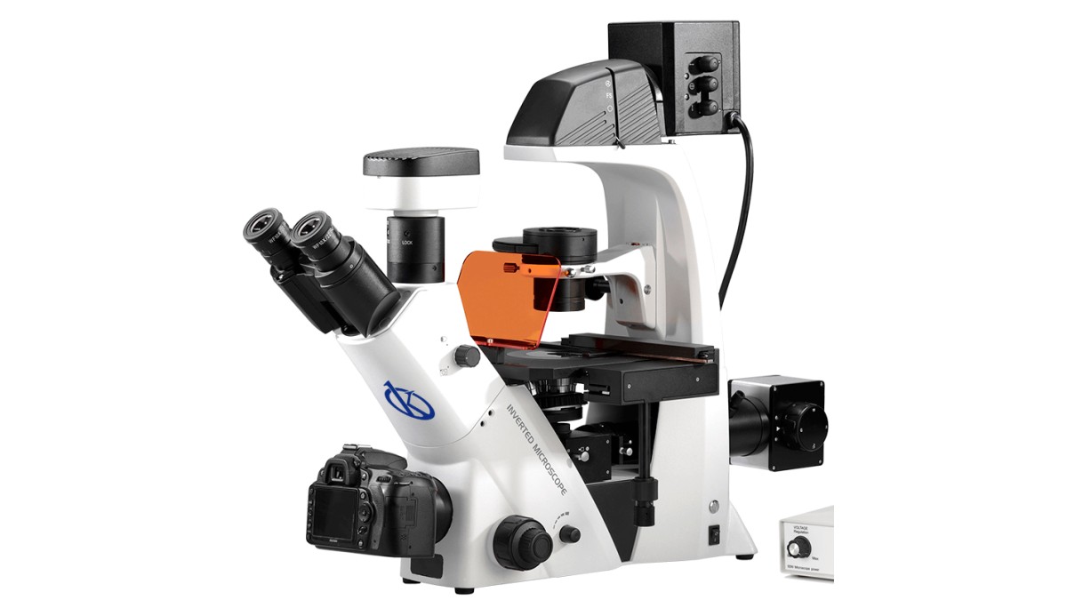 Fluorescent LED Inverted Microscope YR05791: Technical Performance and Safety