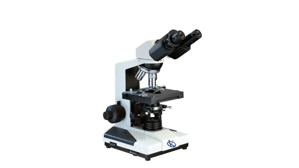 Practical Use of the Fluorescent LED Microscope Inverted YR05792-2 in Laboratories